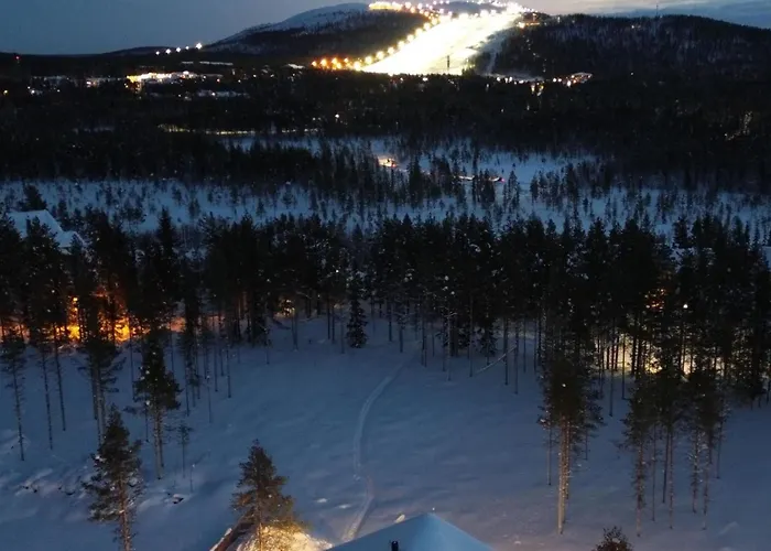 Rollimetsa D 4 By Interhome Holiday home Sirkka